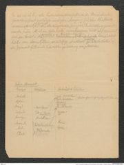 Seite 40, Umschlag mit Fotografien und losen beschriebenen Seiten, Beilage 1 zu "Palästina (Tagebuch)" (NHMW-PRAE-BBB-80-Beilage-1)